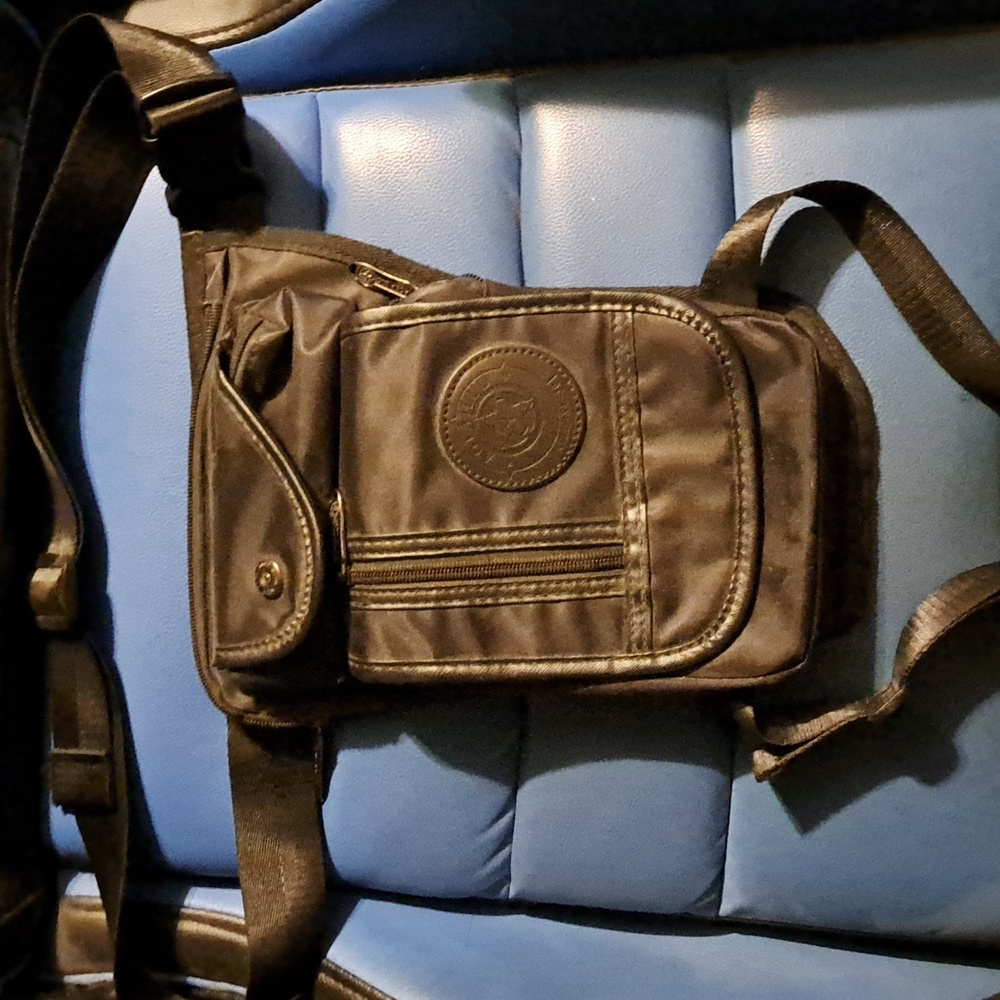 Waist and hip satchel